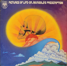 Load image into Gallery viewer, Dr. Marigolds Prescription - Pictures Of Life Lp
