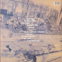 Load image into Gallery viewer, Nas - Illmatic Lp
