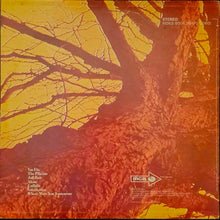 Load image into Gallery viewer, Wishbone Ash - Pilgrimage Lp
