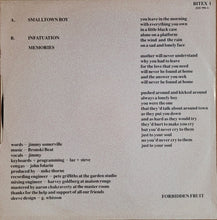 Load image into Gallery viewer, Bronski Beat - Smalltown Boy 12&quot; Single
