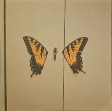 Load image into Gallery viewer, Paramore - Brand New Eyes Lp
