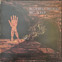 Load image into Gallery viewer, Big Sleep - Bluebell Wood Lp (First Press)
