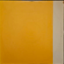 Load image into Gallery viewer, Mark Summers – Summers Magic 12" Single
