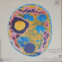 Load image into Gallery viewer, The Soup Dragons - Mother Universe 12&quot; Single
