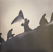 Load image into Gallery viewer, James Blake - Playing Robots Into Heaven Lp
