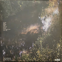 Load image into Gallery viewer, S.Carey - Hundred Acres Lp
