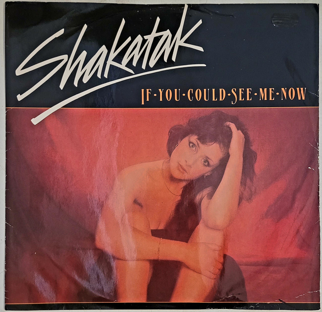 Shakatak - If You Could See Me Now 12