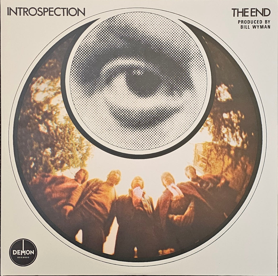 The End - Introspection/  Retrospection Lp (Ltd RSD 2018 Clear)