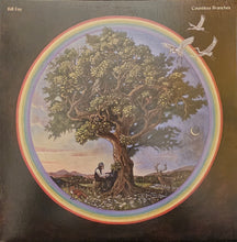 Load image into Gallery viewer, Bill Fay - Countless Branches Lp
