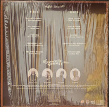Load image into Gallery viewer, Pinnacle Sound - Still Dread Lp
