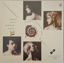 Load image into Gallery viewer, Siouxsie And The Banshees - Through The Looking Glass Lp
