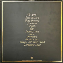 Load image into Gallery viewer, Jungle - Jungle Lp
