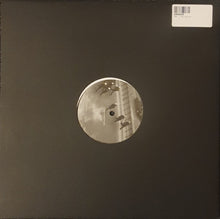 Load image into Gallery viewer, TRP - The Future 12&quot; Single
