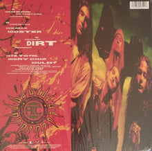 Load image into Gallery viewer, Alice In Chains - Dirt Lp
