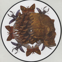 Load image into Gallery viewer, Baroness - Try To Disappear 12&quot; Single (Picture Disc)
