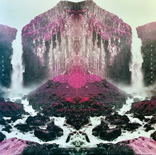 Load image into Gallery viewer, Tusks - Avalanche Lp
