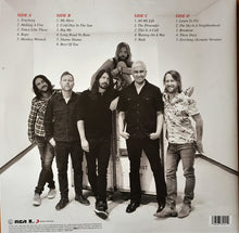 Load image into Gallery viewer, Foo Fighters - The Essential Foo Fighters Lp
