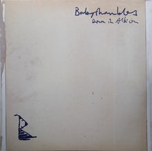 Load image into Gallery viewer, Babyshambles - Down In Albion Lp
