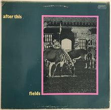Load image into Gallery viewer, After This - Fields / Hollow Hills 12&quot; Single
