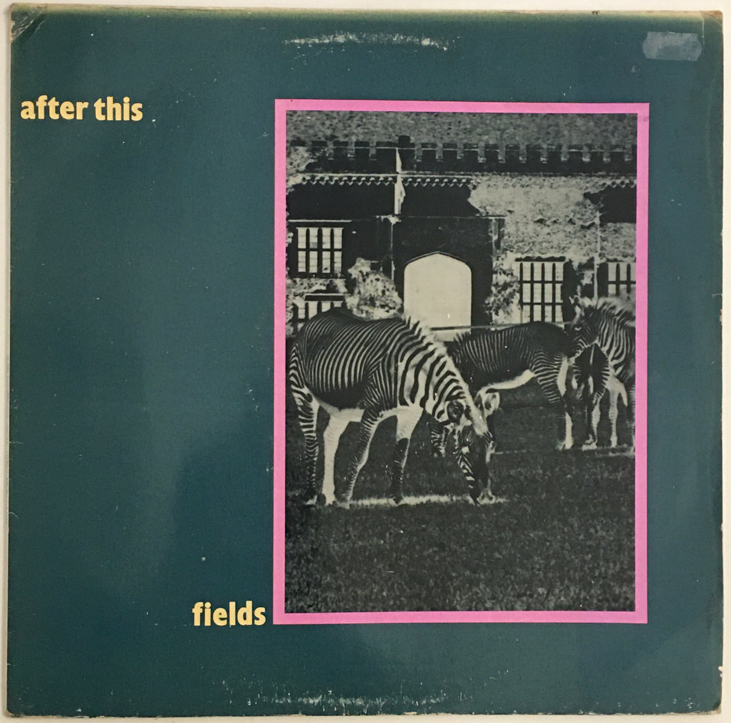 After This - Fields / Hollow Hills 12