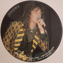 Load image into Gallery viewer, Stryper - Limited Edition Interview Picture Disc Lp
